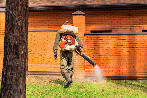 Trusted Emergency Pest Control service in Rural Hill, TN - Nex Pest Control